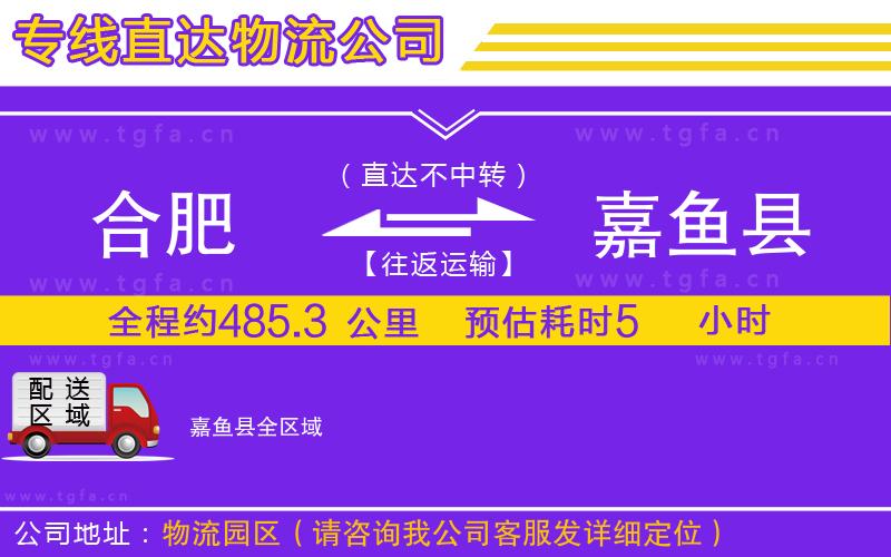 合肥到嘉魚(yú)縣物流公司