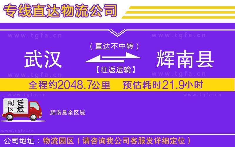 武漢到輝南縣物流公司