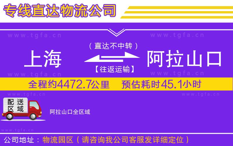 上海到阿拉山口物流公司