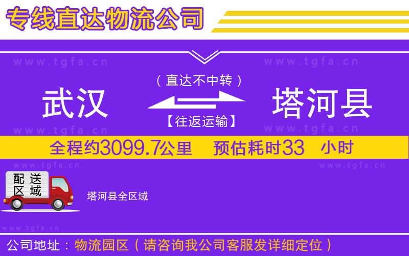 武漢到塔河縣物流公司