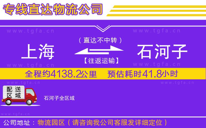 上海到石河子物流公司