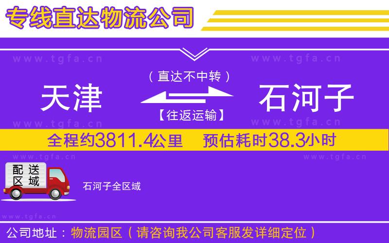 天津到石河子物流公司