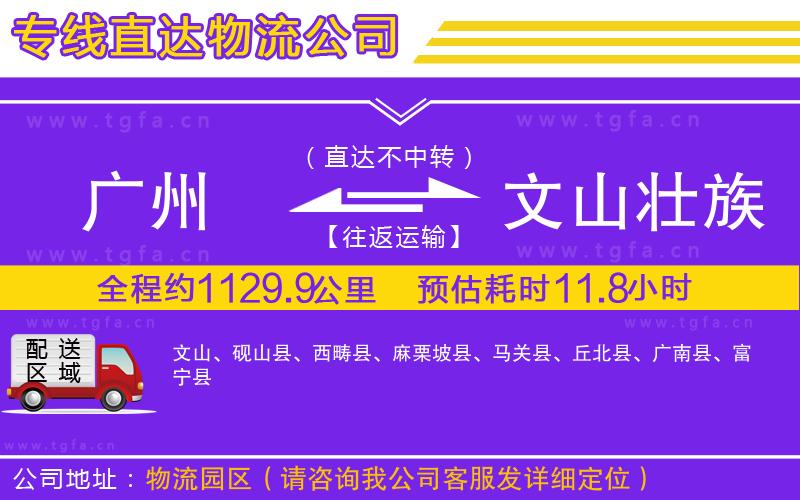 廣州到文山壯族苗族自治州物流專(zhuān)線