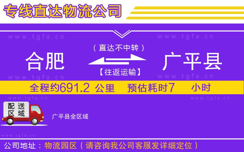 合肥到廣平縣物流公司