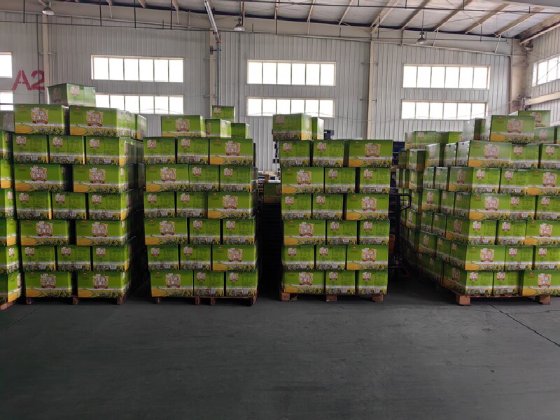 唐山到宜黃物流公司