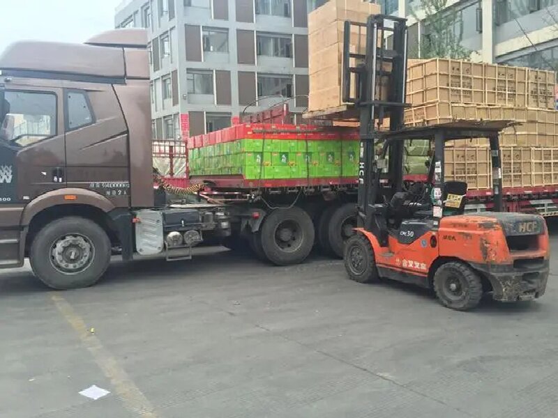 合肥到邵陽(yáng)北塔區(qū)貨運(yùn)公司